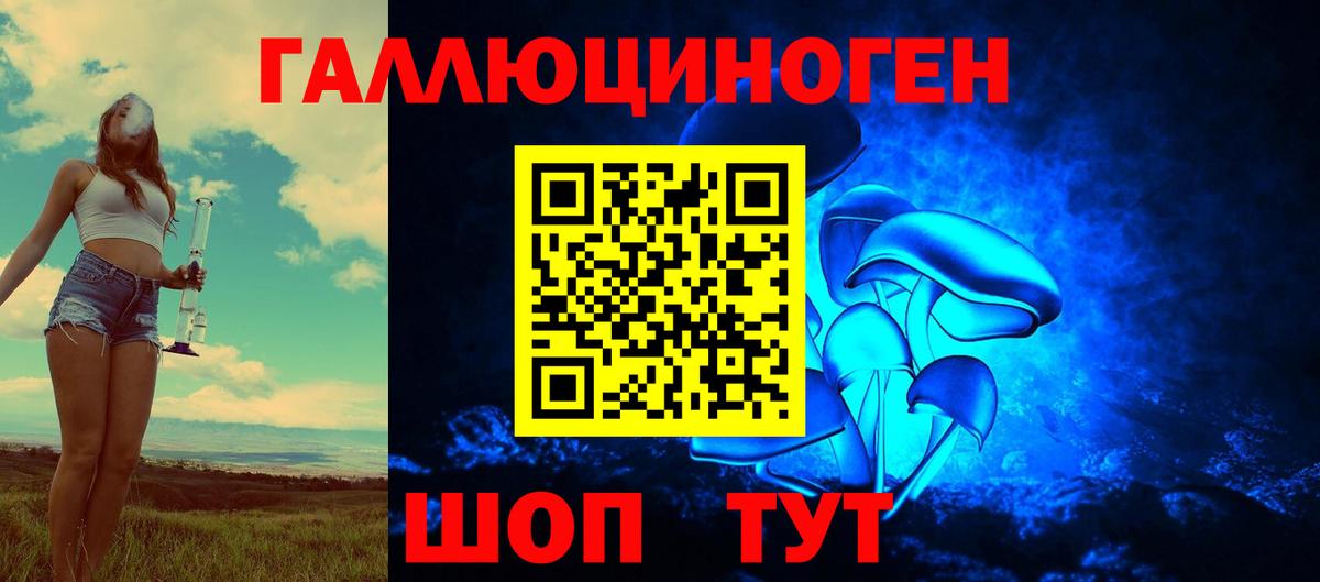 Псилоцибиновые грибы MAGIC MUSHROOMS Донской