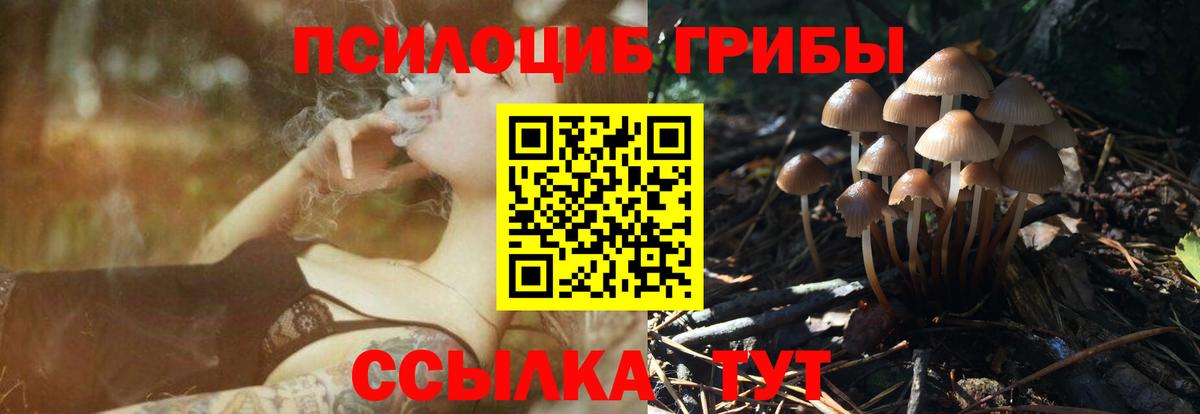 Донской  где найти   Вход с VPN  Галлюциногенные грибы MAGIC MUSHROOMS 